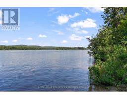 290 Hennessy Trail, Whitewater Region, ON K0J2L0 Photo 24