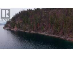 9191 Valhalla View Drive Unit# 3, Slocan, BC V0G2B0 Photo 54