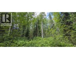 Lot 15 Catherine Road, Prince George, BC V2M7B8 Photo 6