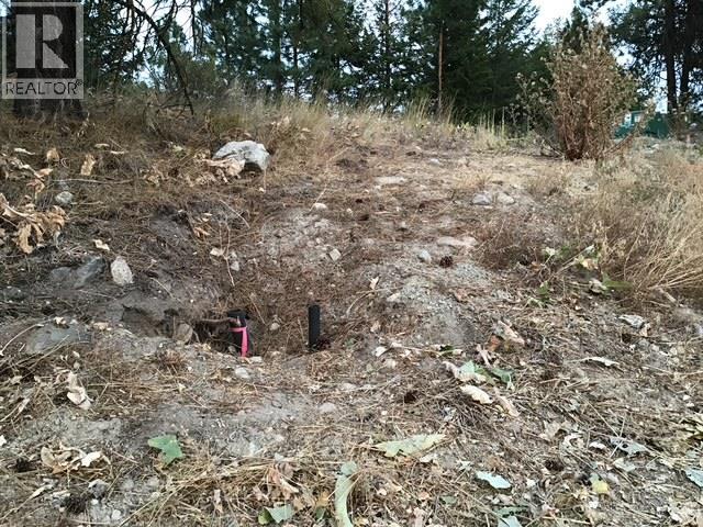 470 Sasquatch Trail Trail, Osoyoos