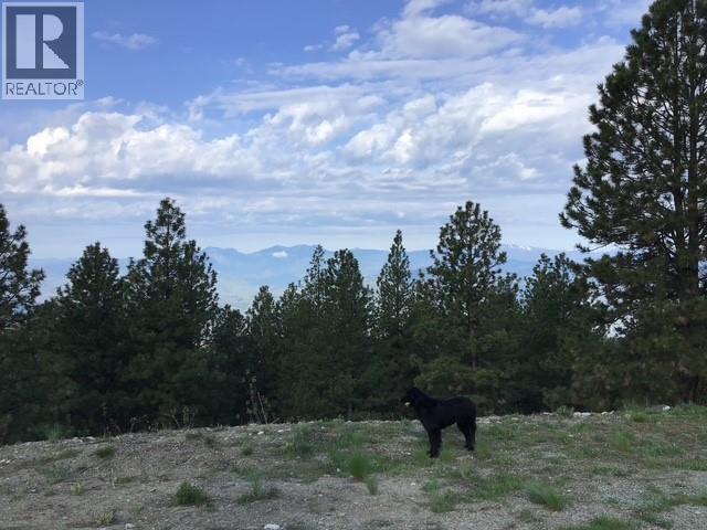 470 Sasquatch Trail Trail, Osoyoos