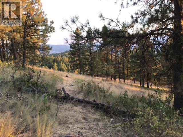 470 Sasquatch Trail Trail, Osoyoos