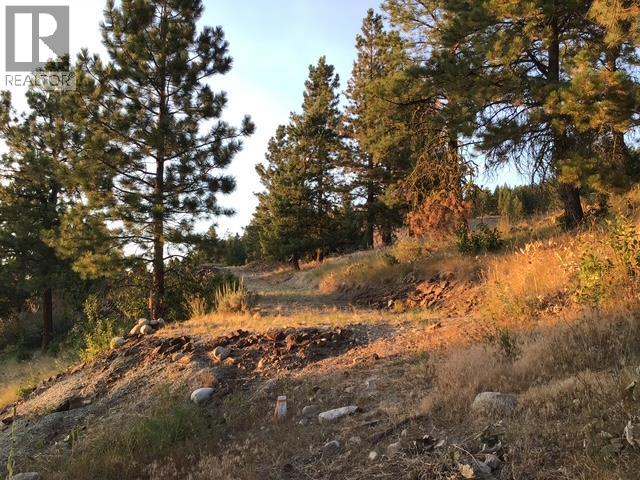 470 Sasquatch Trail Trail, Osoyoos