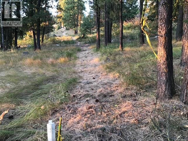 470 Sasquatch Trail Trail, Osoyoos