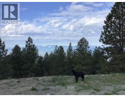 470 Sasquatch Trail Trail, Osoyoos, BC V0H1V6 Photo 12