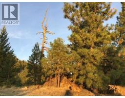 470 Sasquatch Trail Trail, Osoyoos, BC V0H1V6 Photo 13