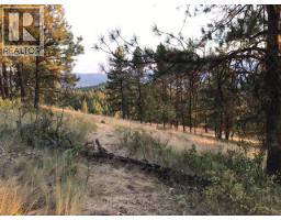 470 Sasquatch Trail Trail, Osoyoos, BC V0H1V6 Photo 14
