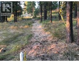 470 Sasquatch Trail Trail, Osoyoos, BC V0H1V6 Photo 16