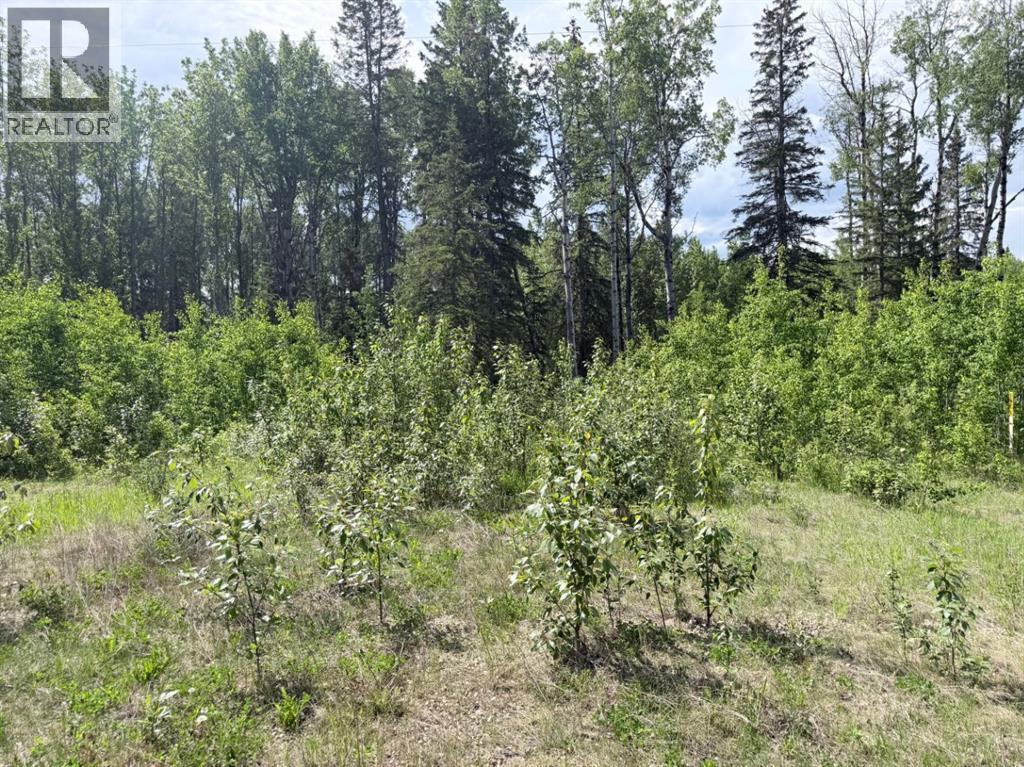 15 Elk Ridge Estates