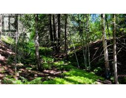 5392 Hwy 6 Highway Lot# 1, Burton, BC V0G1R0 Photo 74