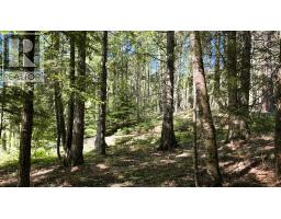 5392 Hwy 6 Highway Lot# 1, Burton, BC V0G1R0 Photo 72