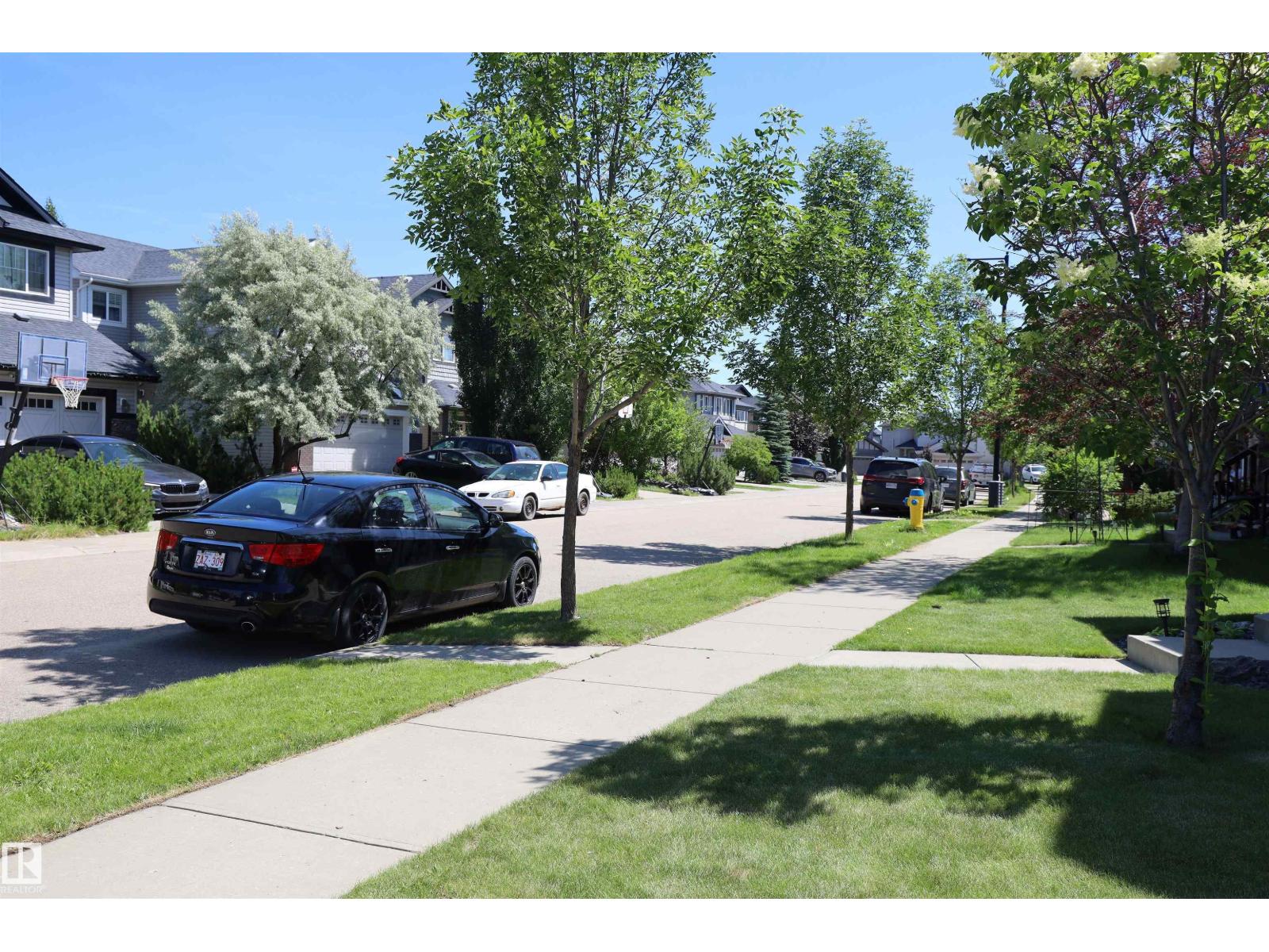 4044 ALEXANDER WY SW - 11