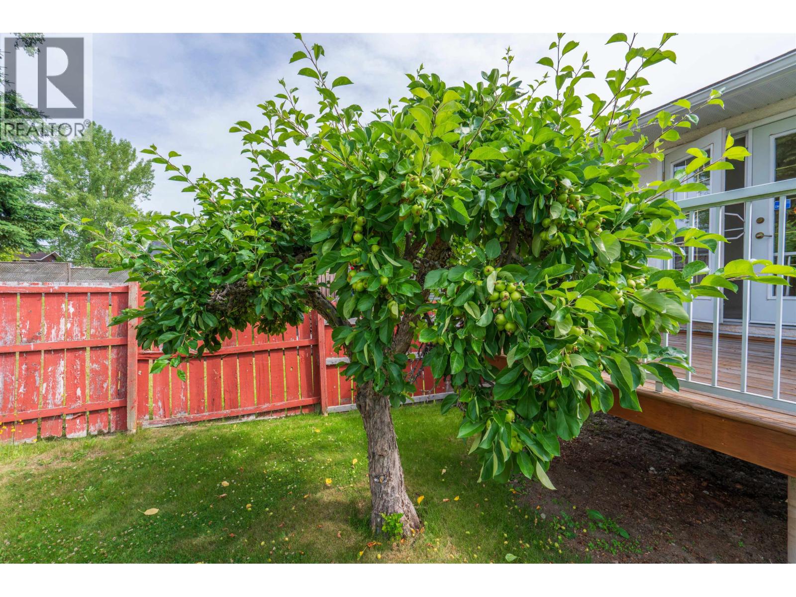931 LIMESTONE CRESCENT - 20