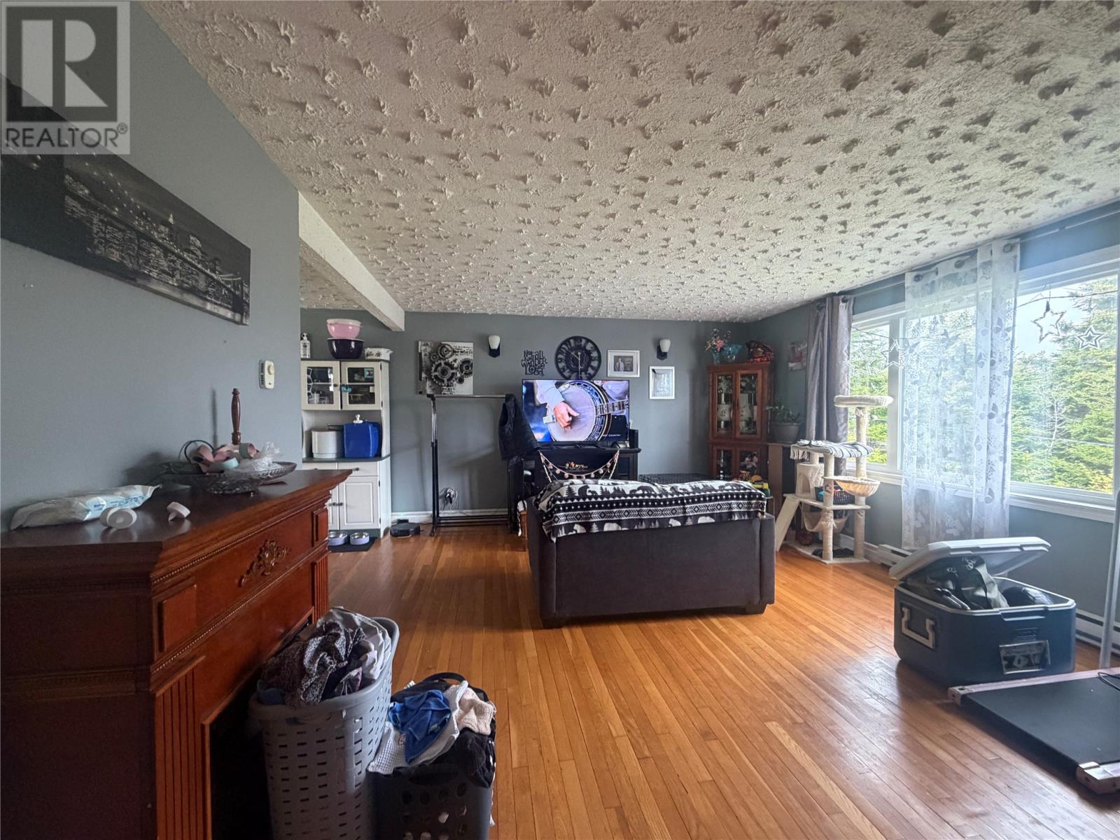 231-233 Creston Boulevard - 2