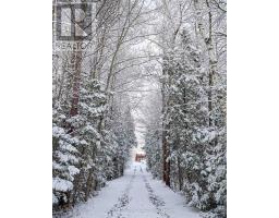 1969 North Orr Lake Road, Springwater, ON L0L1P0 Photo 42