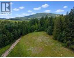 Wrights Mill Road, Tappen, BC V0E2X0 Photo 11