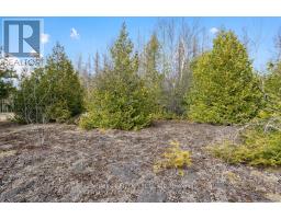 308 Forbes Road, North Grenville, ON K0G1N0 Photo 17