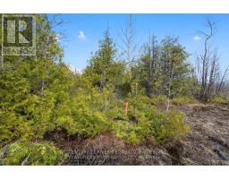 308 Forbes Road, North Grenville, ON K0G1N0 Photo 18