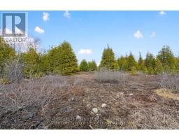 308 Forbes Road, North Grenville, ON K0G1N0 Photo 20