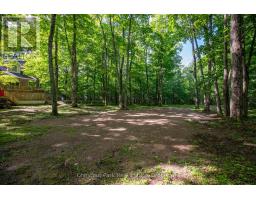 Other - 89 Tammys Cove Road, Northern Bruce Peninsula, ON N0H1Z0 Photo 6
