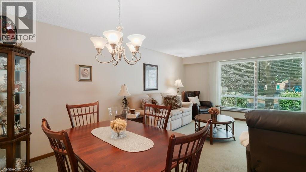 252 JOHANNA Drive - 12