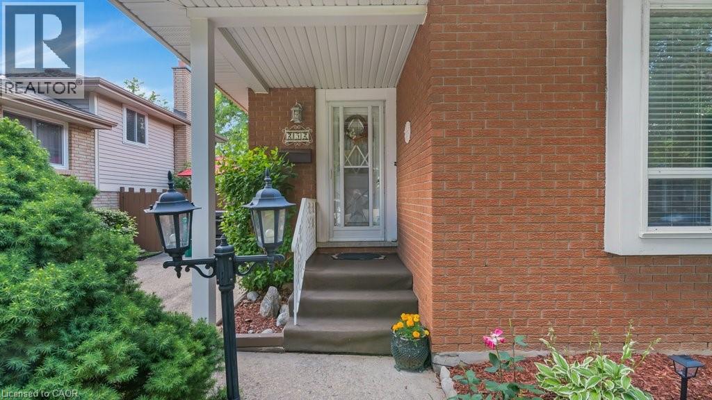 252 JOHANNA Drive - 5