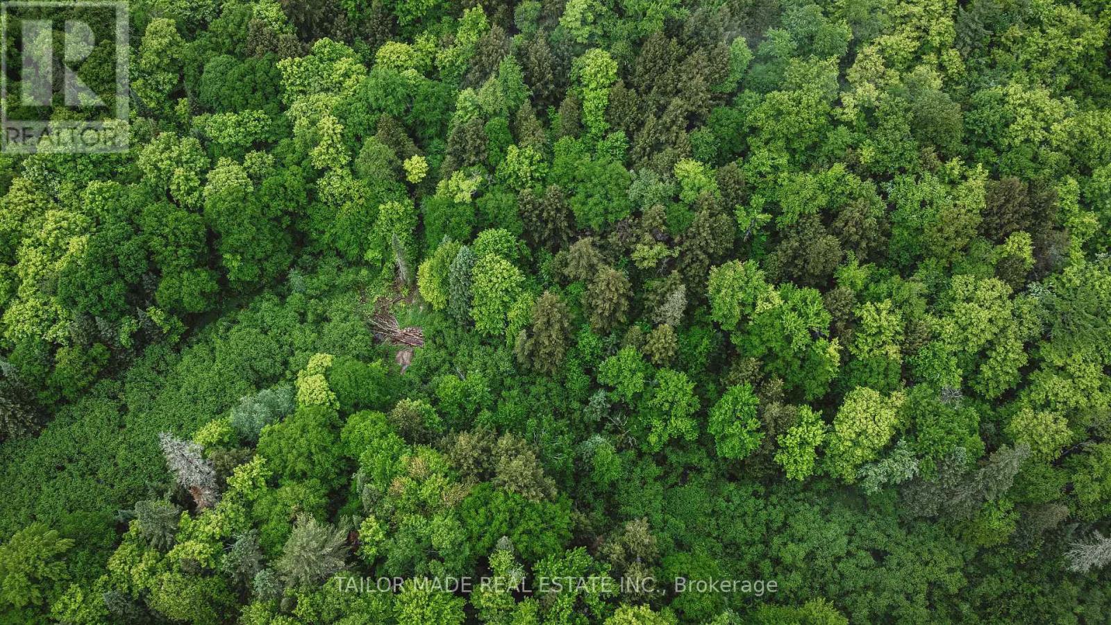788 BOTHAMS ROAD - Image 6