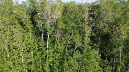 3 Anderson Road, Hnausa, MB R0C2R0 Photo 10