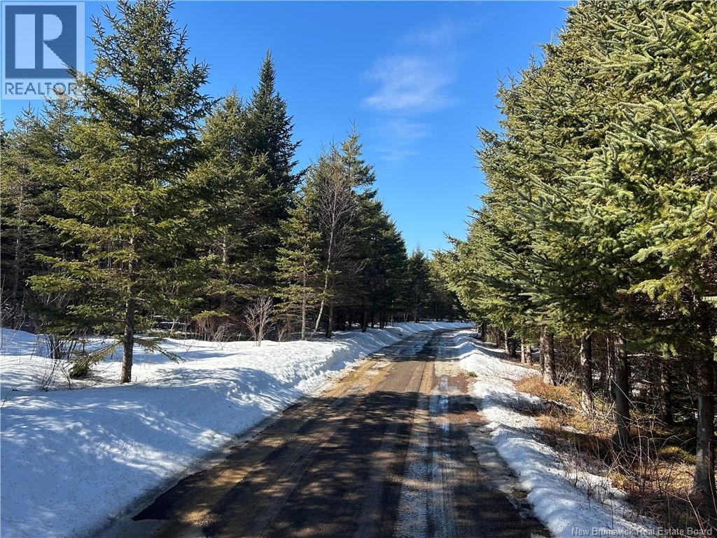 Route 860, Salt Springs — photo 2