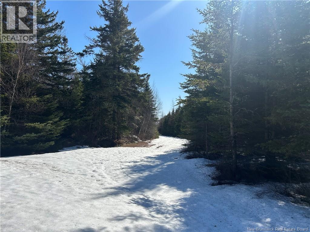 Route 860, Salt Springs — photo 3