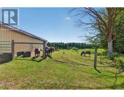 41073 Londesboro Road, Central Huron, ON N0M2H0 Photo 33