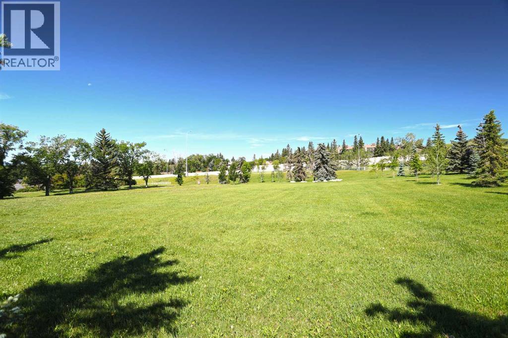 Off-Leash Park