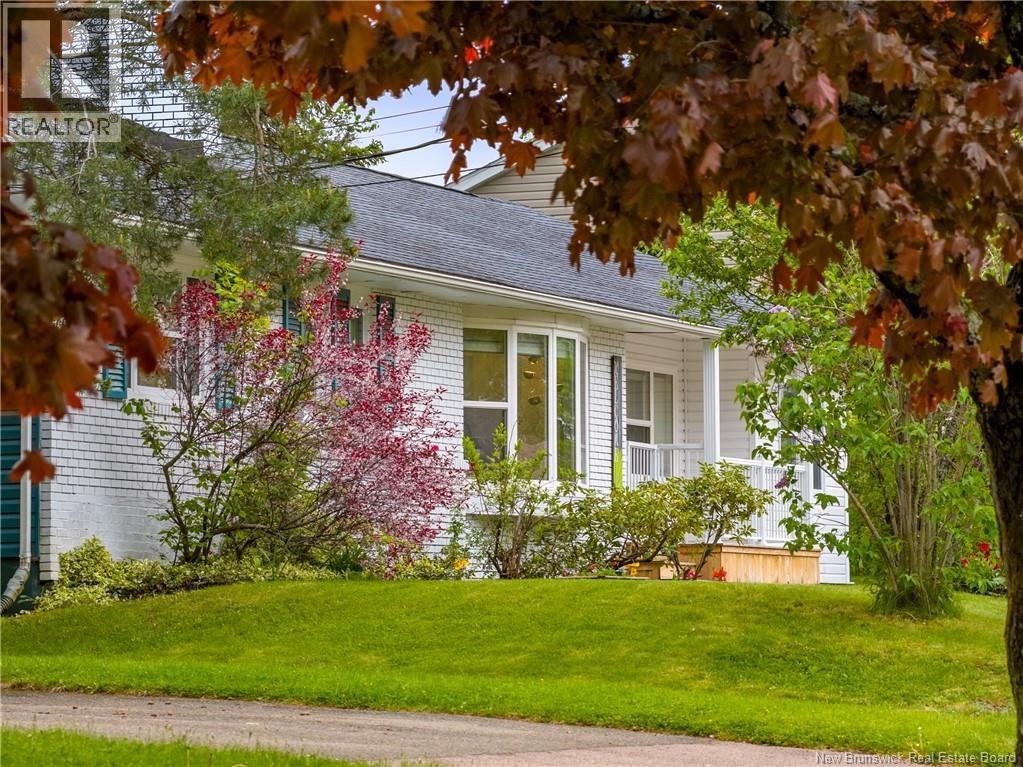 26 Alexander Avenue - 47