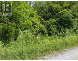 Lot 78 South Mountain Road, Kawartha Lakes, ON K0M2B0 Photo 10