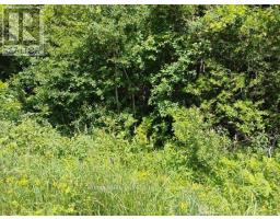 Lot 78 South Mountain Road, Kawartha Lakes, ON K0M2B0 Photo 9