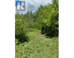 Lot 78 South Mountain Road, Kawartha Lakes, ON K0M2B0 Photo 6