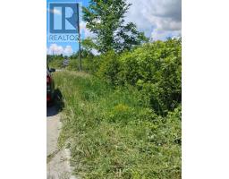 Lot 78 South Mountain Road, Kawartha Lakes, ON K0M2B0 Photo 7