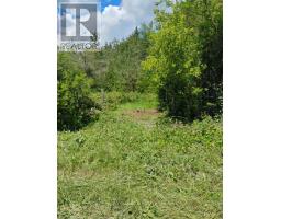 Lot 78 South Mountain Road, Kawartha Lakes, ON K0M2B0 Photo 8