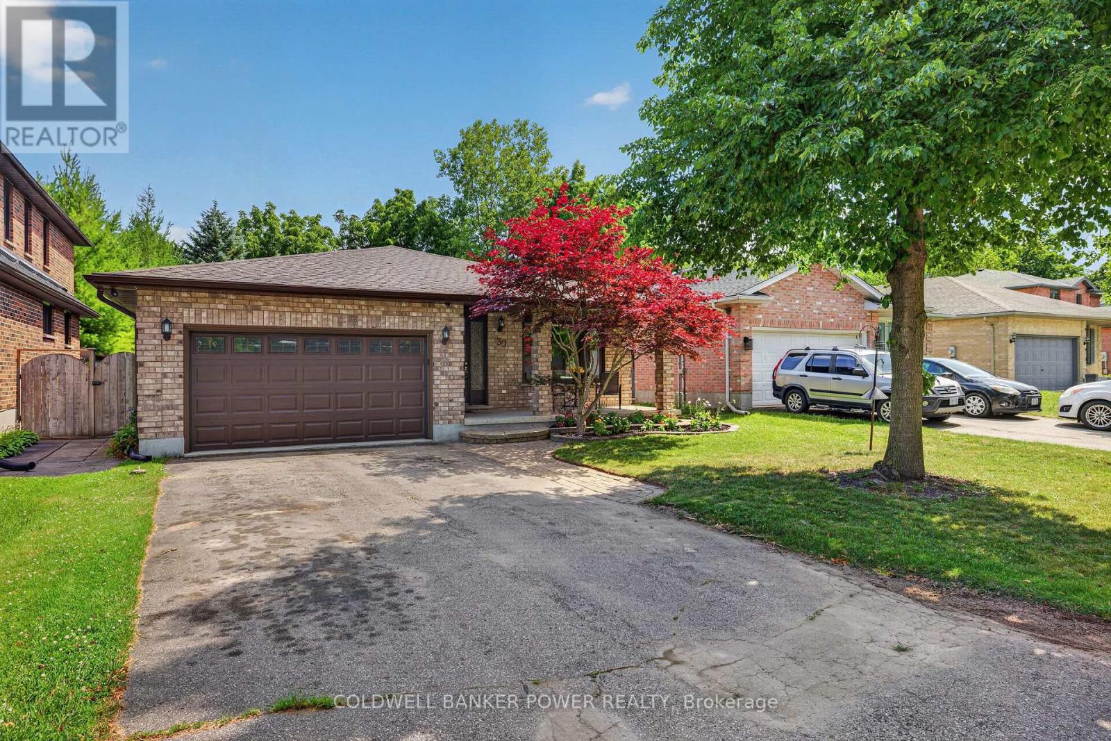 39 SHEPHERD AVENUE - 44