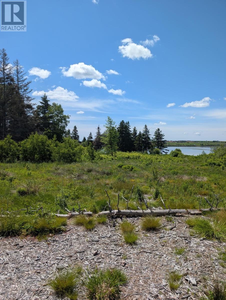 Lot 7 Sonora Road, St. Peter's — photo 2