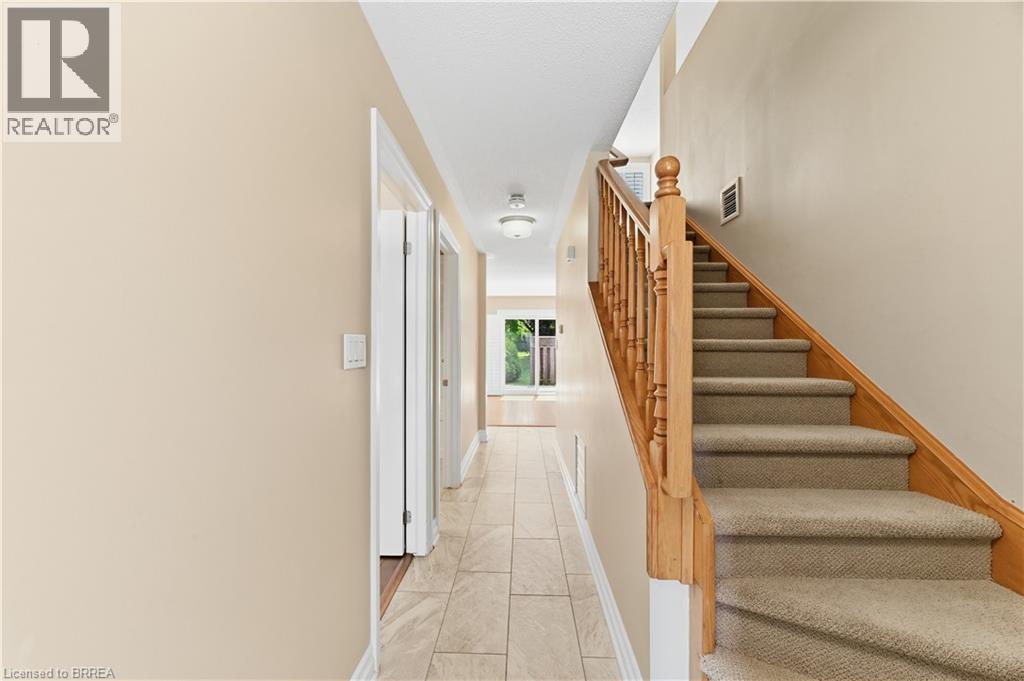 29 ARCHDEACON CLARK Trail - 7