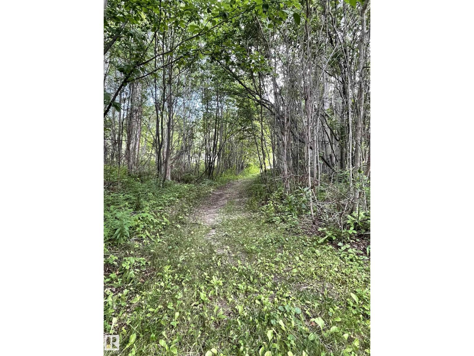 #66 183049 HWY 663 — photo 46