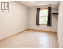 911 California Avenue, Windsor, ON N9B2Z5 Photo 17