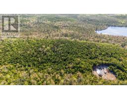 238 Nelson Drive, East Lawrencetown, NS B2Z1N9 Photo 30