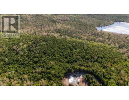 238 Nelson Drive, East Lawrencetown, NS B2Z1N9 Photo 28