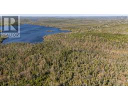 238 Nelson Drive, East Lawrencetown, NS B2Z1N9 Photo 17