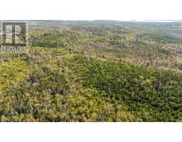 238 Nelson Drive, East Lawrencetown, NS B2Z1N9 Photo 31