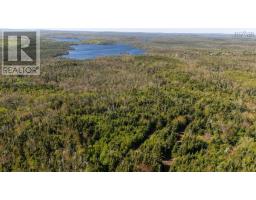 238 Nelson Drive, East Lawrencetown, NS B2Z1N9 Photo 8