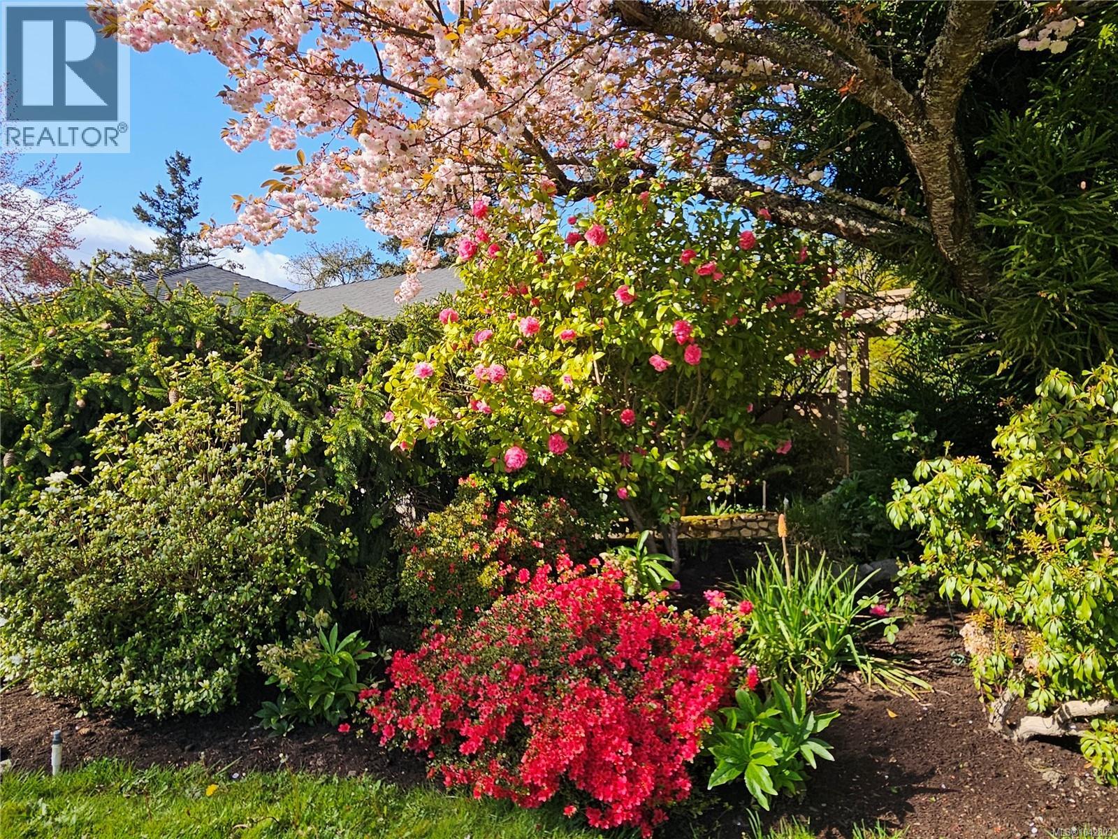 1288 Roy Rd - 40