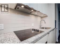 702 - 115 Blue Jays Way, Toronto, ON M5V0N4 Photo 14